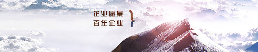低壓齒輪泵